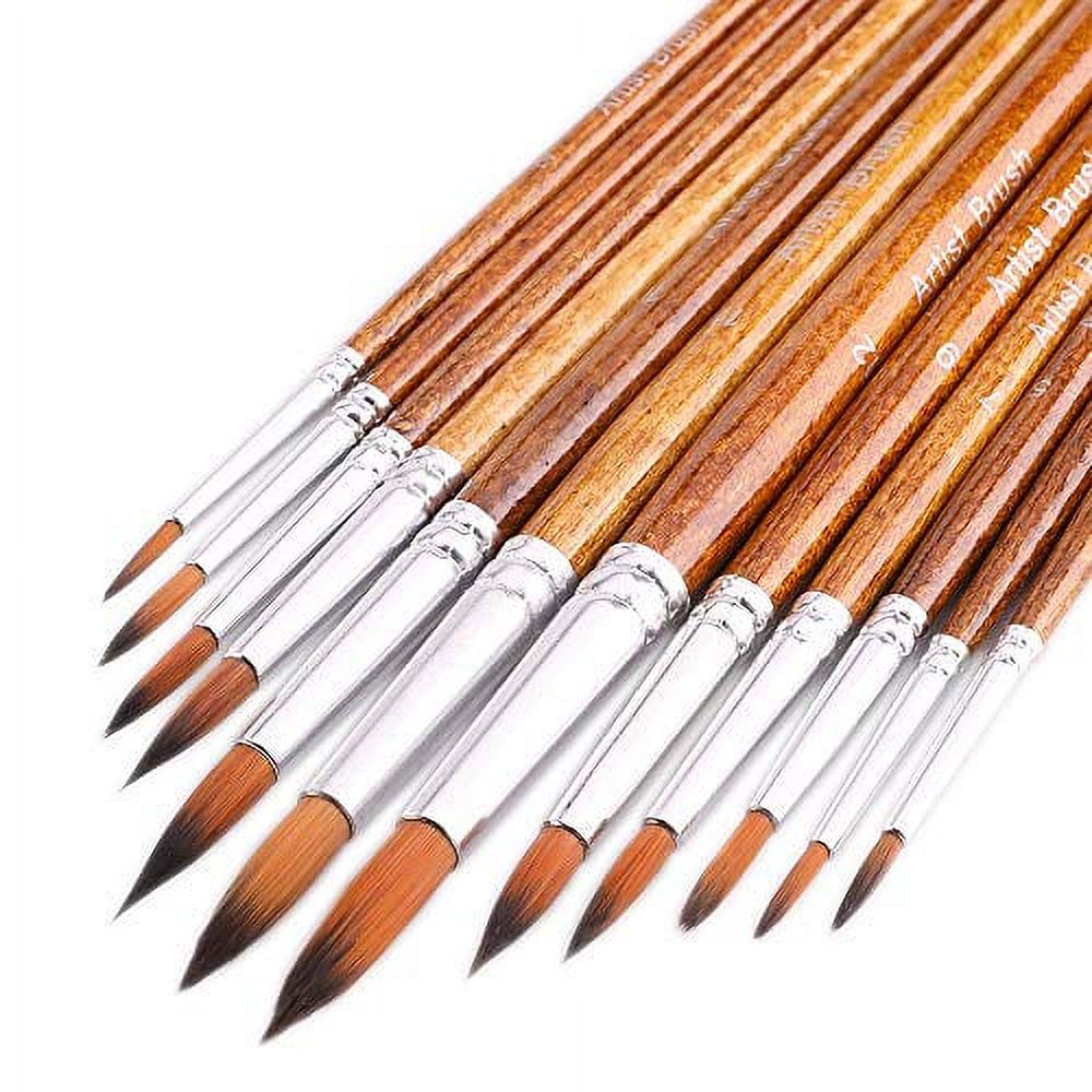 FENORKEY Artist Watercolor Paint Brushes, Round Pointed Tip Paint Brushes Set, 12pcs Different Sizes Detail Paint Brush for Watercolor, Acrylics, Ink